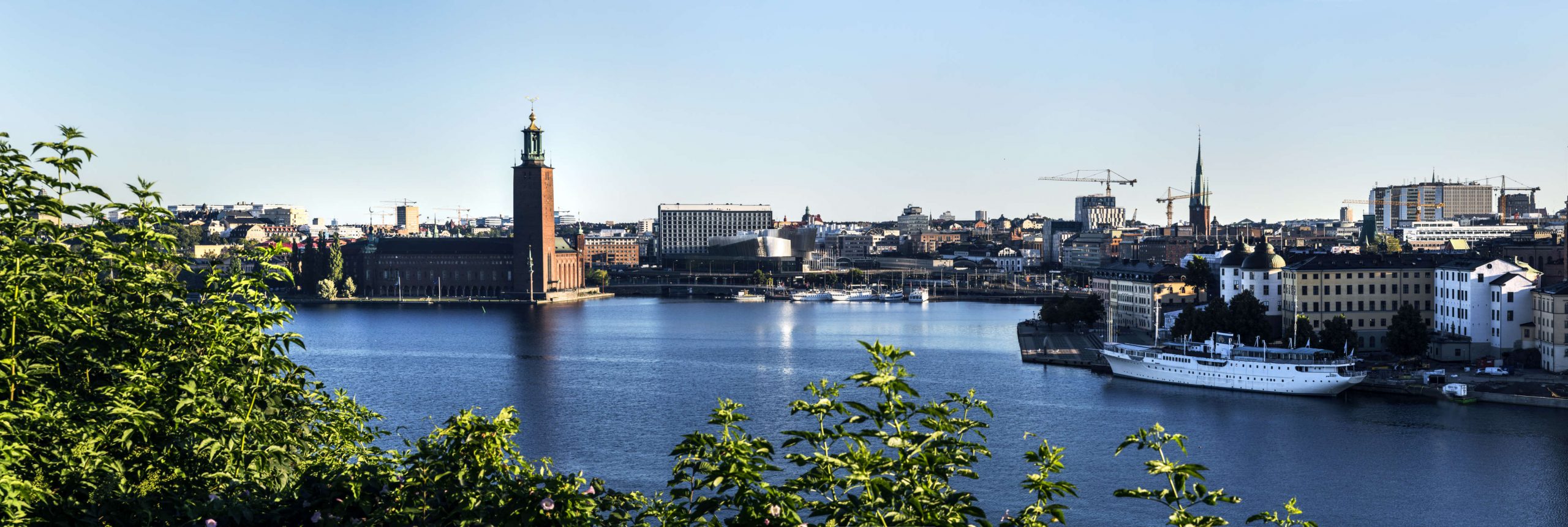 Trygg Montelius sommar pano