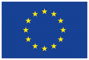 EU_Logotype_size_892x607