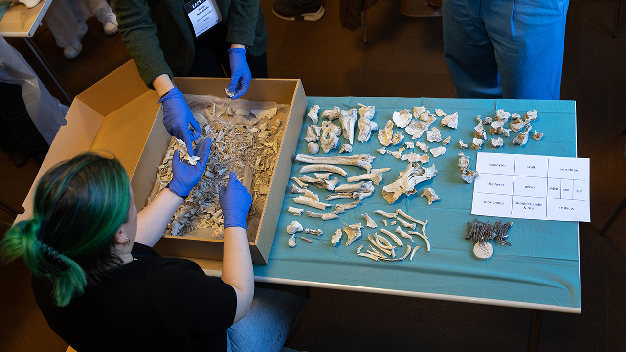 Workshop on Identifying and Interpreting Cremated Human Remains. Photo by Marcus Andrae.